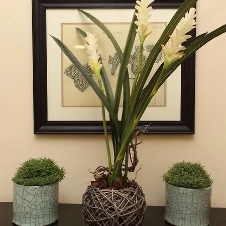 Residenza Fiorentina 3*